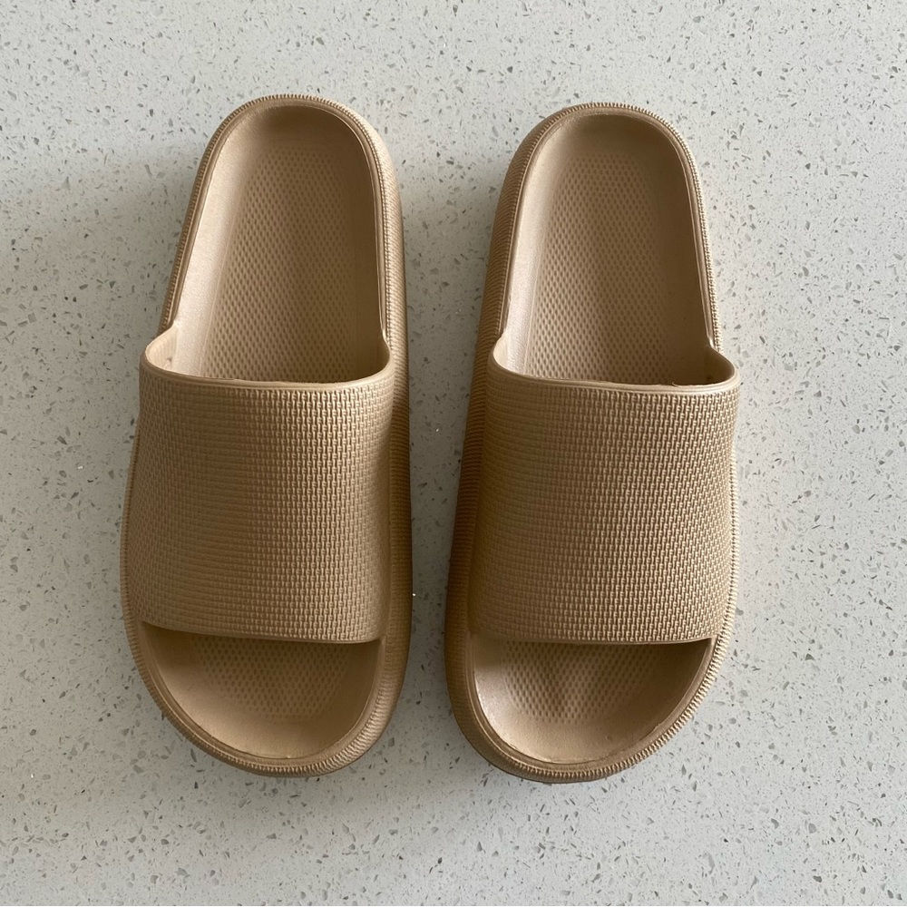 Tan slides